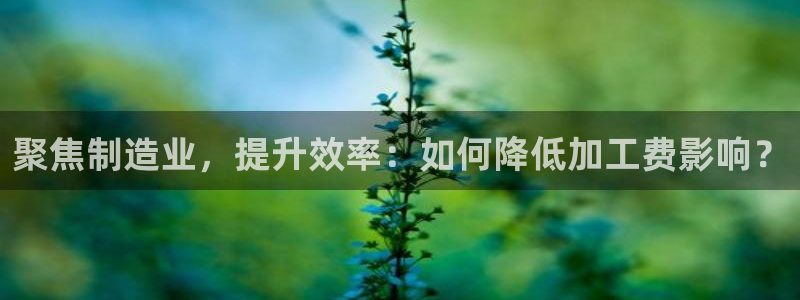 万事娱乐主管薪资