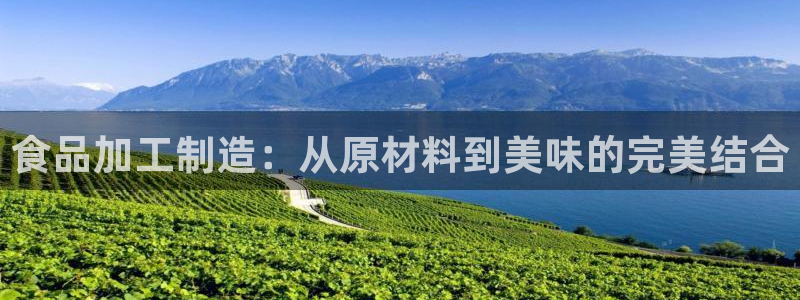 万事娱乐公司简介