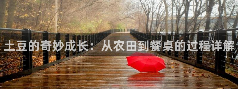 万事如意纯属娱乐