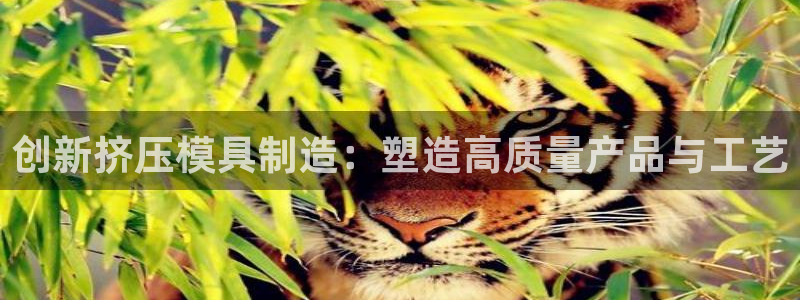 万事达娱乐95692