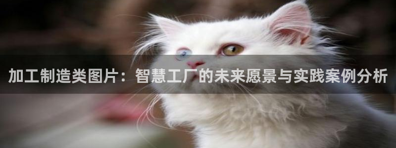 万事达娱乐注册平台