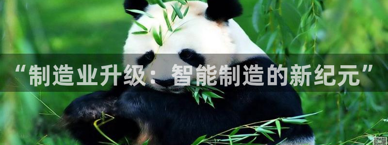 美女春节娱乐万事如意