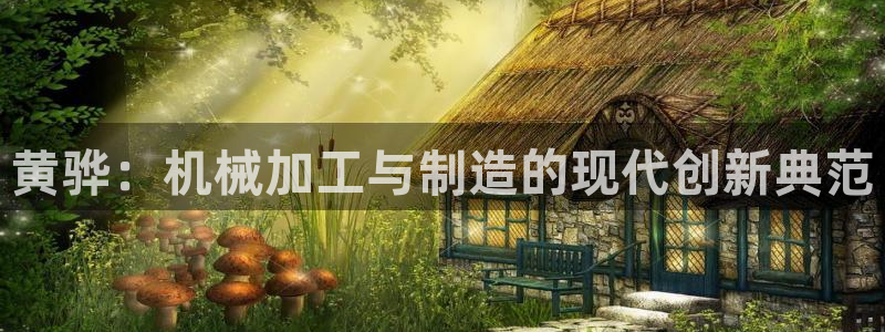 万事达娱乐设备