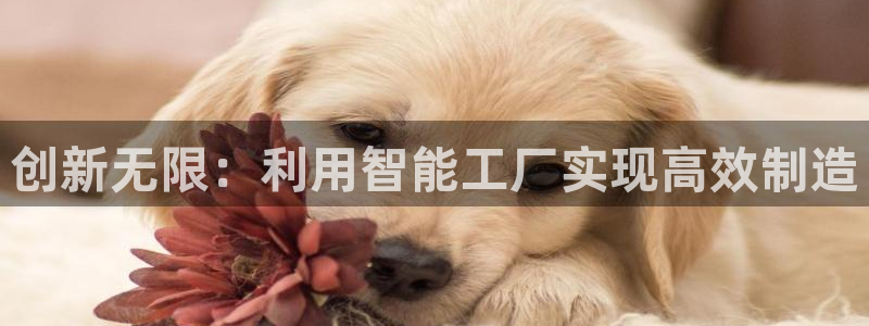 万事娱乐优七九九47