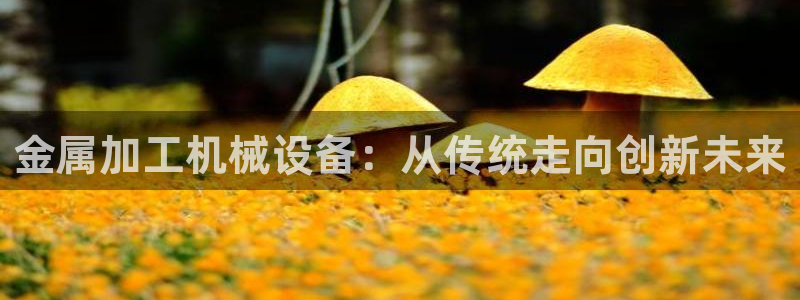 万事娱乐平台怎么样了啊