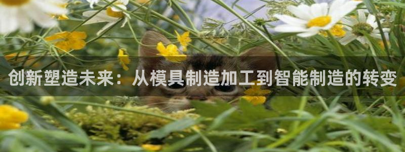 万事达娱乐注册