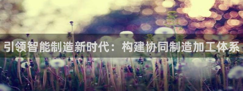 万事娱乐官网下载手机版