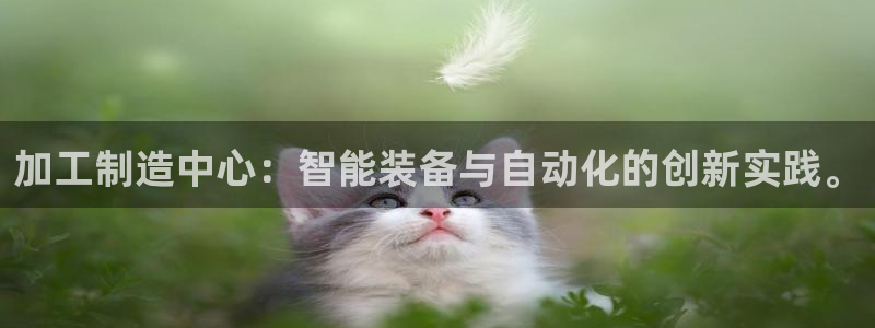 万事达娱乐63390好