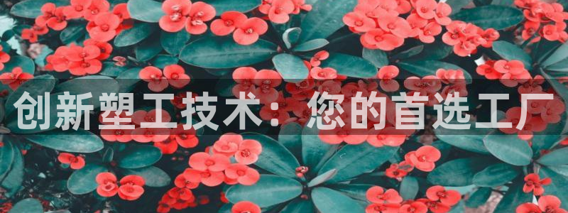 万事娱乐注册登录不上