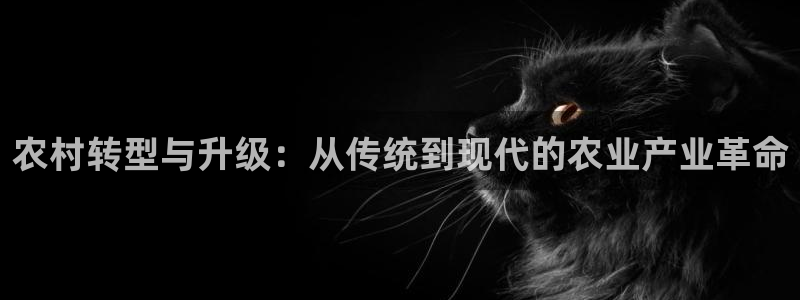 万事娱乐怎么成为会员