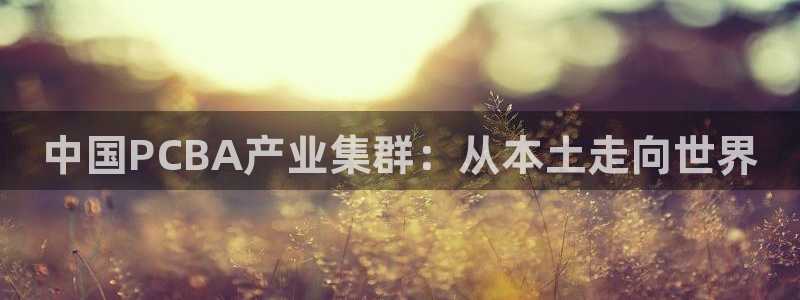 万事达娱乐指尖年