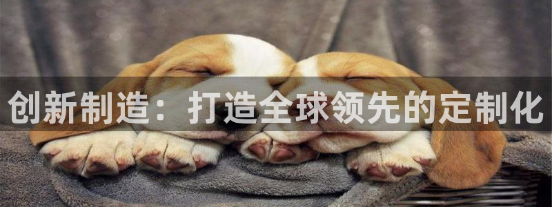 万事2娱乐怎么样