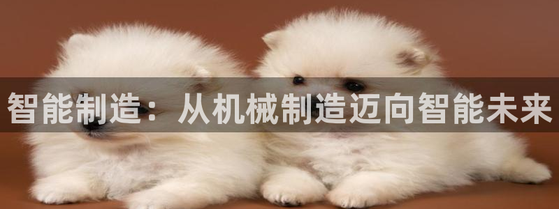 万事通娱乐棋牌