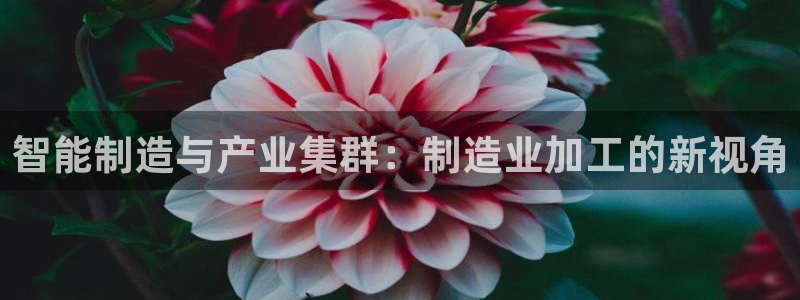 万事娱乐公司简介