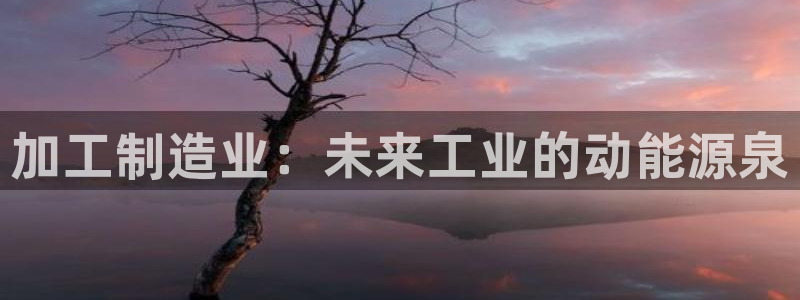 万事达娱乐董善良