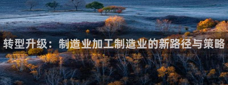 万事娱乐代理加盟