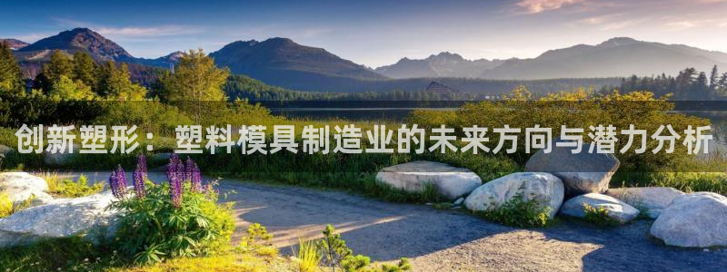 万事达娱乐问55312