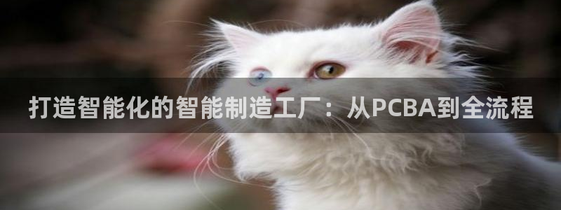 万事娱乐注册登录不了