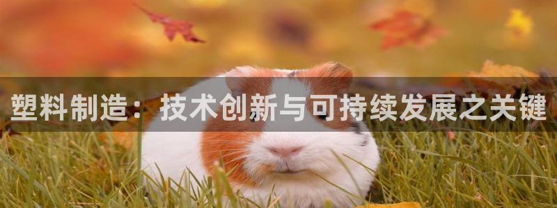 娱乐播放万事屋