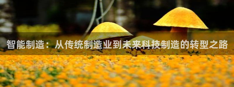 跟万事娱乐一样的平台